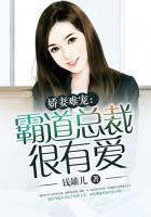 霸道总裁之娇妻难再囚