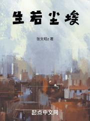 身如尘埃心若星空