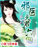 邪王夫君难侍候