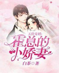 天价宠妻霍总请接招全集