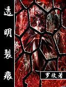 透明表面
