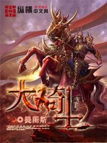 大骑士物语职业搭配