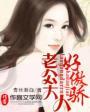 老公大人别太傲娇