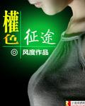 宦海征途张东峰