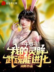 斗罗大陆之我的武魂是精灵