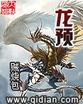 龙预售