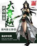 武侠世界大穿越顶点