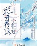 花落不相逢的意思
