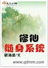 随身系统类