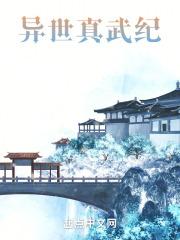 异世武皇全集