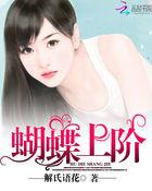 蝴蝶egg