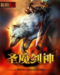 圣光剑魔