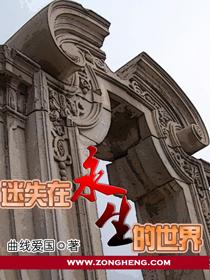 迷失在永生的世界顶点
