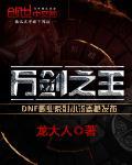 万剑之王—西方之焰谁带