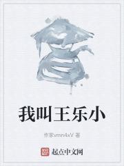 主角叫王乐的都市