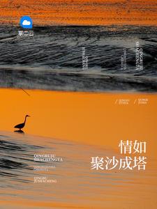 情如聚沙成塔苏心妍