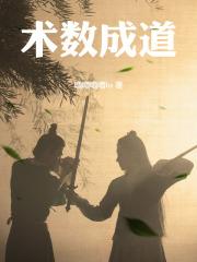 术数之道什么意思