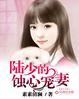 陆少的心尖宠妻全文免费