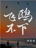 飞鸥不下什么时候开始甜