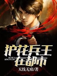 护花兵王在都市- 天线无痕