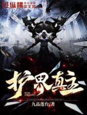 护界仙王全集