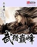 武燎巅峰免费阅读