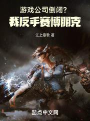 赛博朋克游戏开发公司