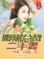 腹黑总裁的天价前妻免费阅读