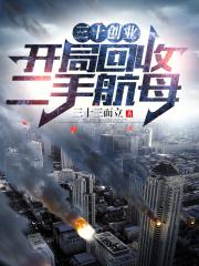 三十创业开局回收二手航母 libahao