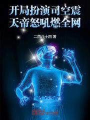有没有主角开局扮演司空震