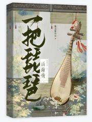 一把琵琶奏琴弦