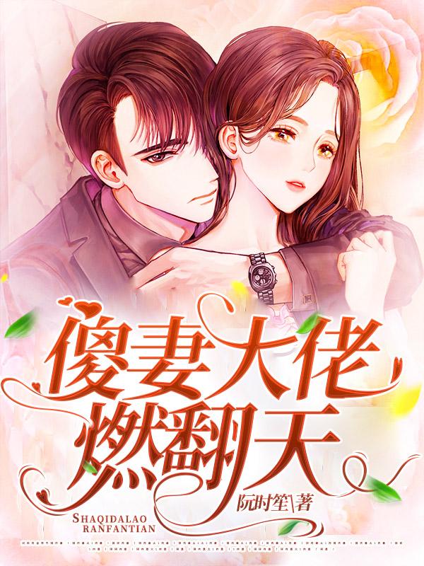 傻妻作者