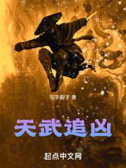 新疆天夜追凶