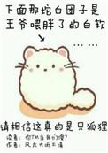 你尾巴戳到我了蛇