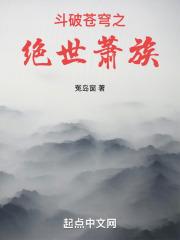 斗破苍穹之萧玄