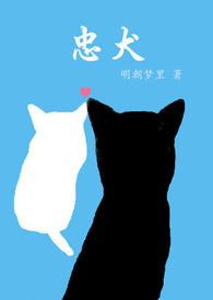 忠犬八公图片