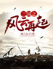 三国之风云再起里面有几把剑