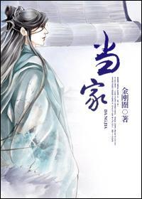当家女人免费观看电视剧