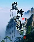 巅峰武尊
