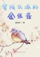 穿成反派的金丝雀 乔安笙