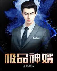 至尊傻婿