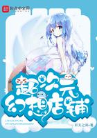 超次元幻想店铺作文