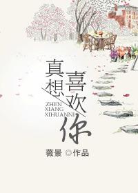 真想喜欢你免费阅读