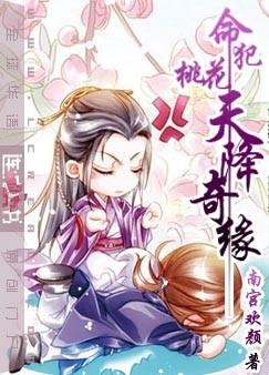 天降奇缘国语版