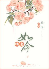 嗜妻如命免费阅读