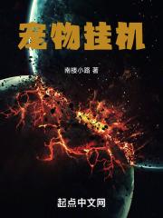 宠物挂机类型老游戏