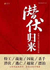 潜伏归来 电视剧