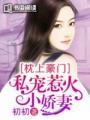 枕上蜜宠甜妻撩上火免费阅读