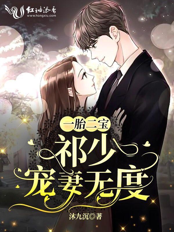 一胎二宝祁少宠妻无度
