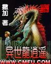 异世魔武双修